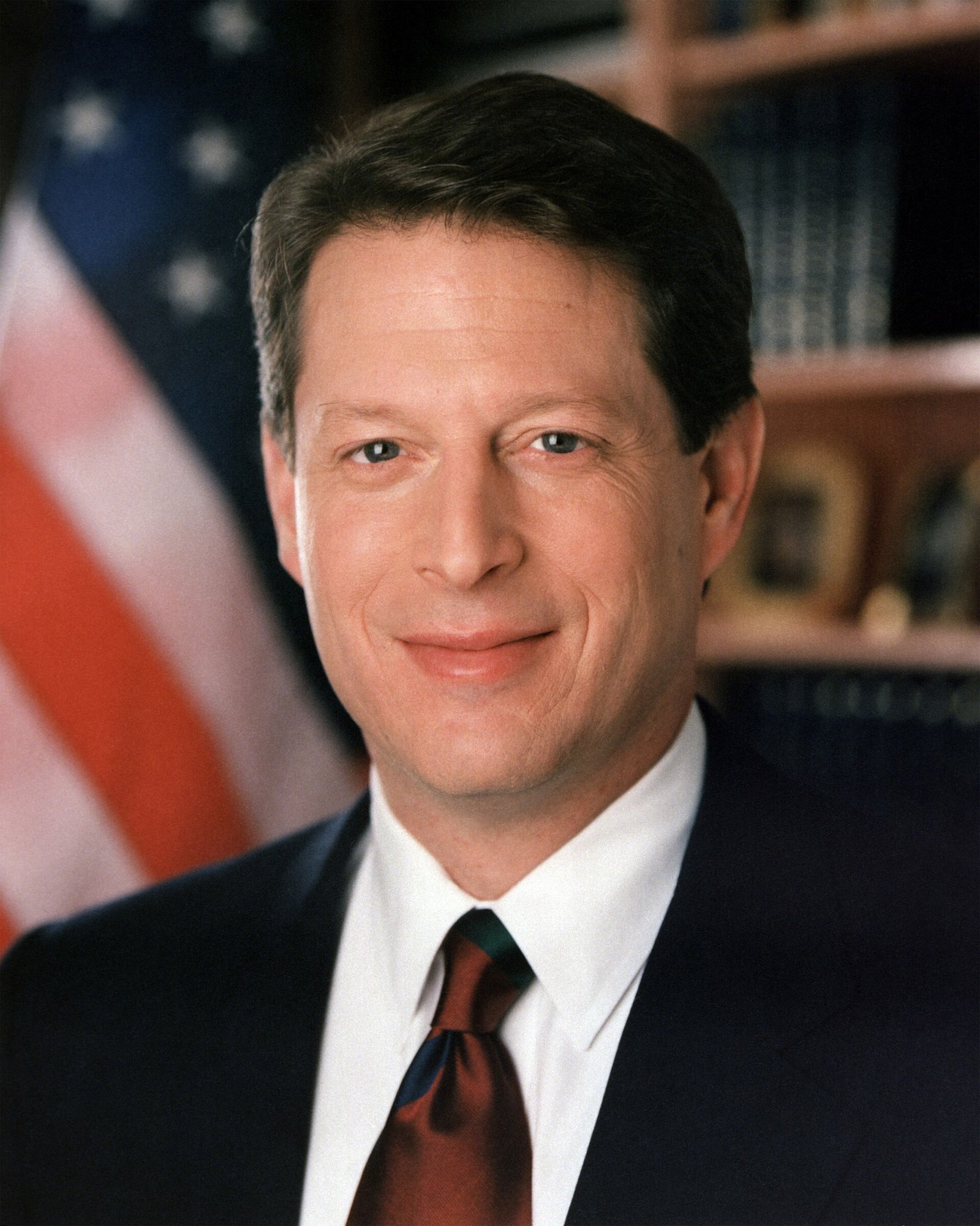 Al Gore portrait